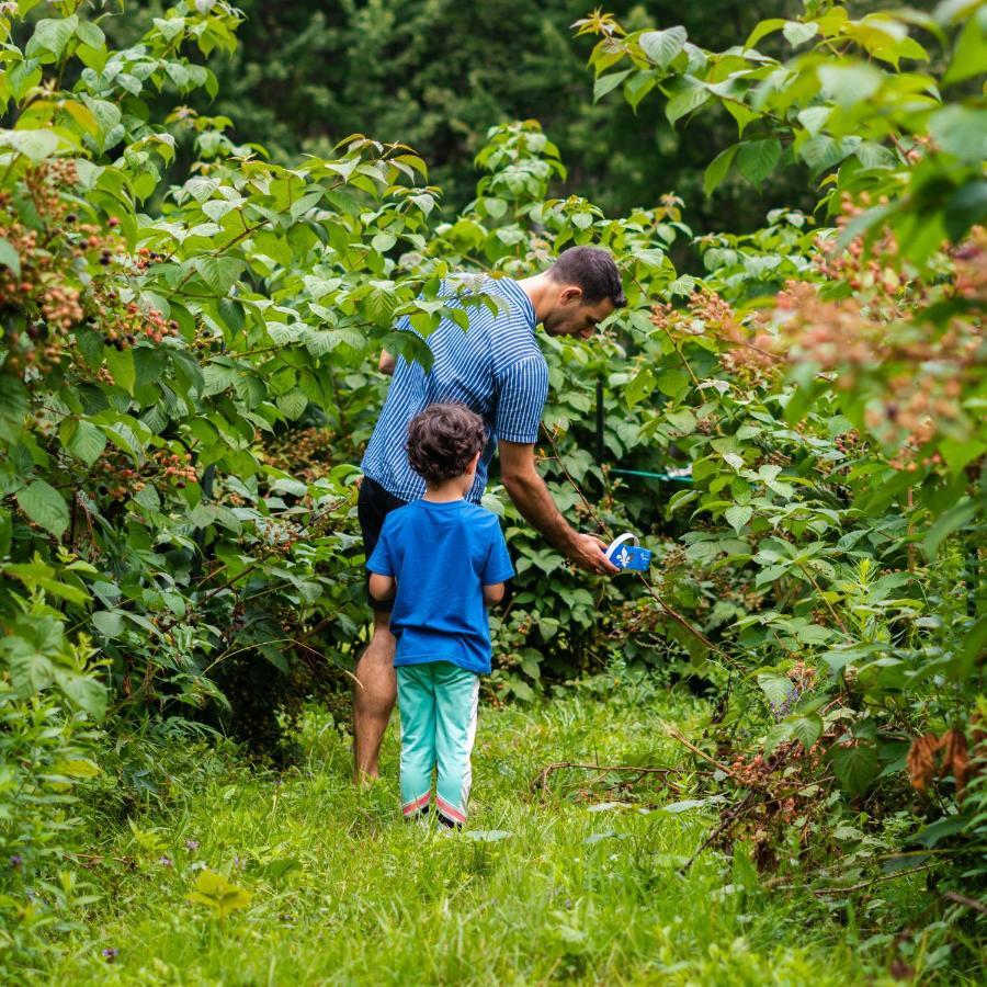 Gite O'Bordeleau (Adults Only) Luskville Eksteriør billede